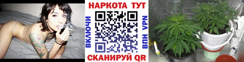 Купить наркотик Алексин ГАШ  Cocaine  A-PVP  МАРИХУАНА  МЕФ 