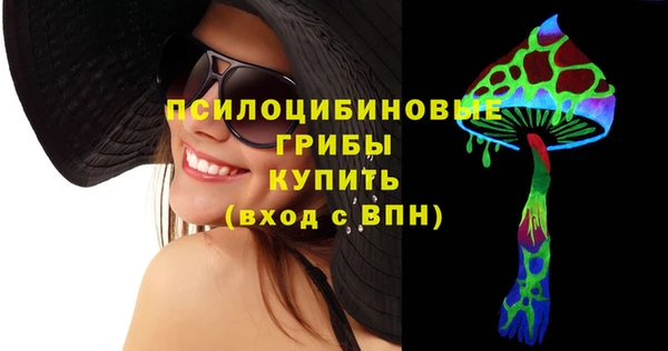 молекула духа Алексеевка