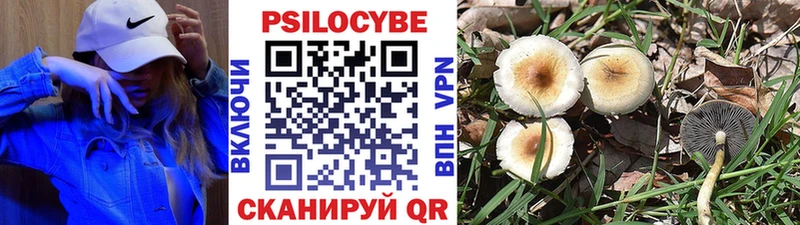 продажа наркотиков Алексин Псилоцибиновые грибы Magic Shrooms