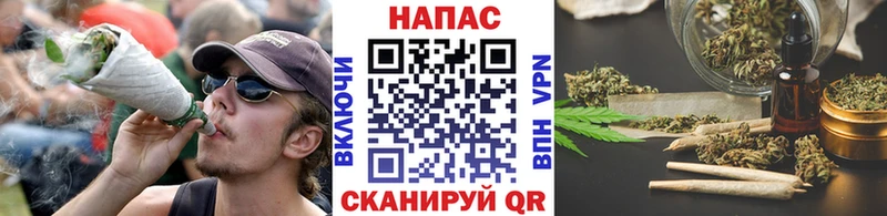 где можно купить наркотик  OMG   Канабис VHQ  Алексин 